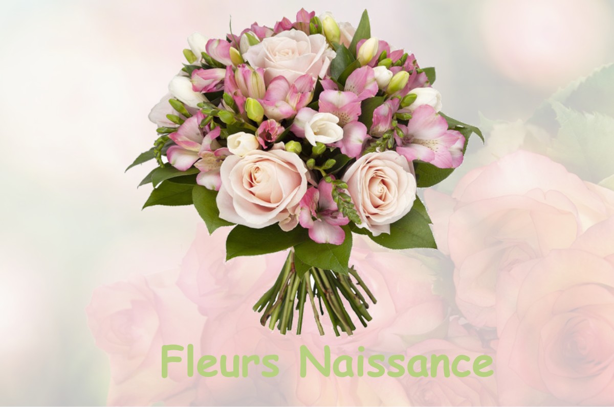 fleurs naissance COUDROY