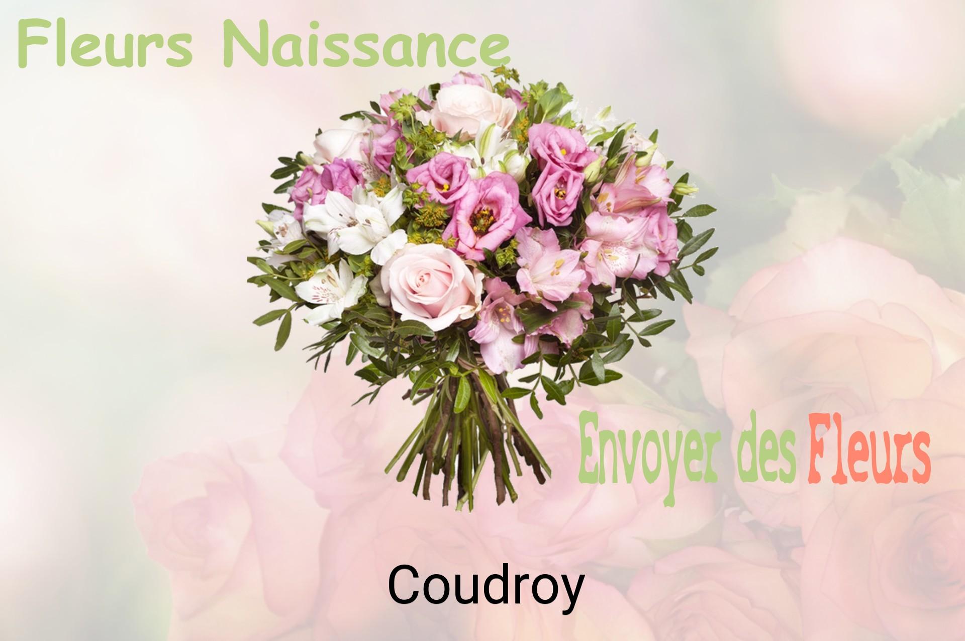 Bouquet de fleurs de naissance livré à Coudroy